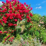 Helle - Suedeifel Bei Neuerburg *