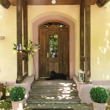 Apartment Helle - Suedeifel Ammeldingen bei Neuerburg