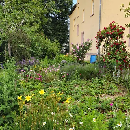 Apartment Helle - Südeifel Bei Neuerburg